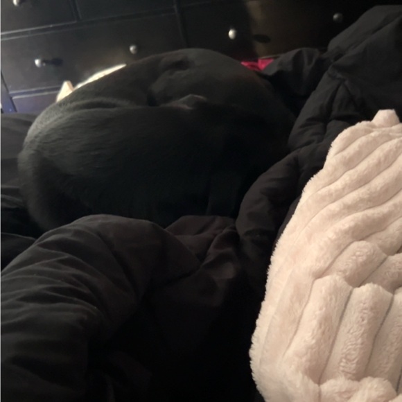 Fashion Nova One Shoulder Black Dress - Picture 2 of 4